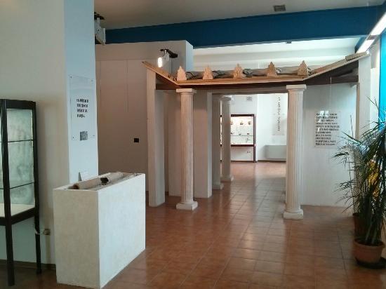 Museo Archeologico Civico G. Romualdi