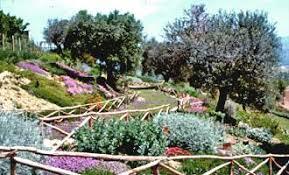 Azienda Agricola Giardino Officinale di Torzolini Filippo